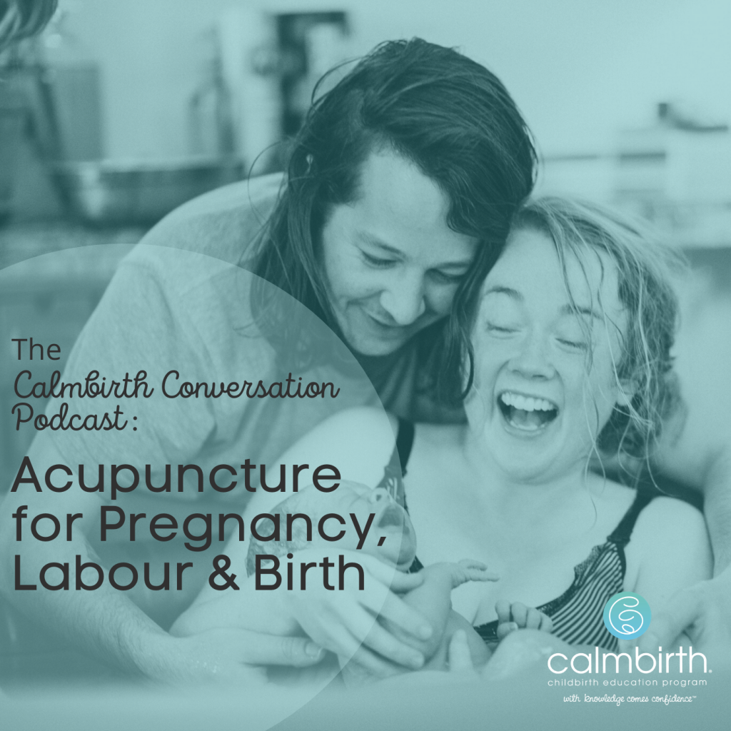 Acupuncture for Pregnancy, Labour & Birth Cover Image