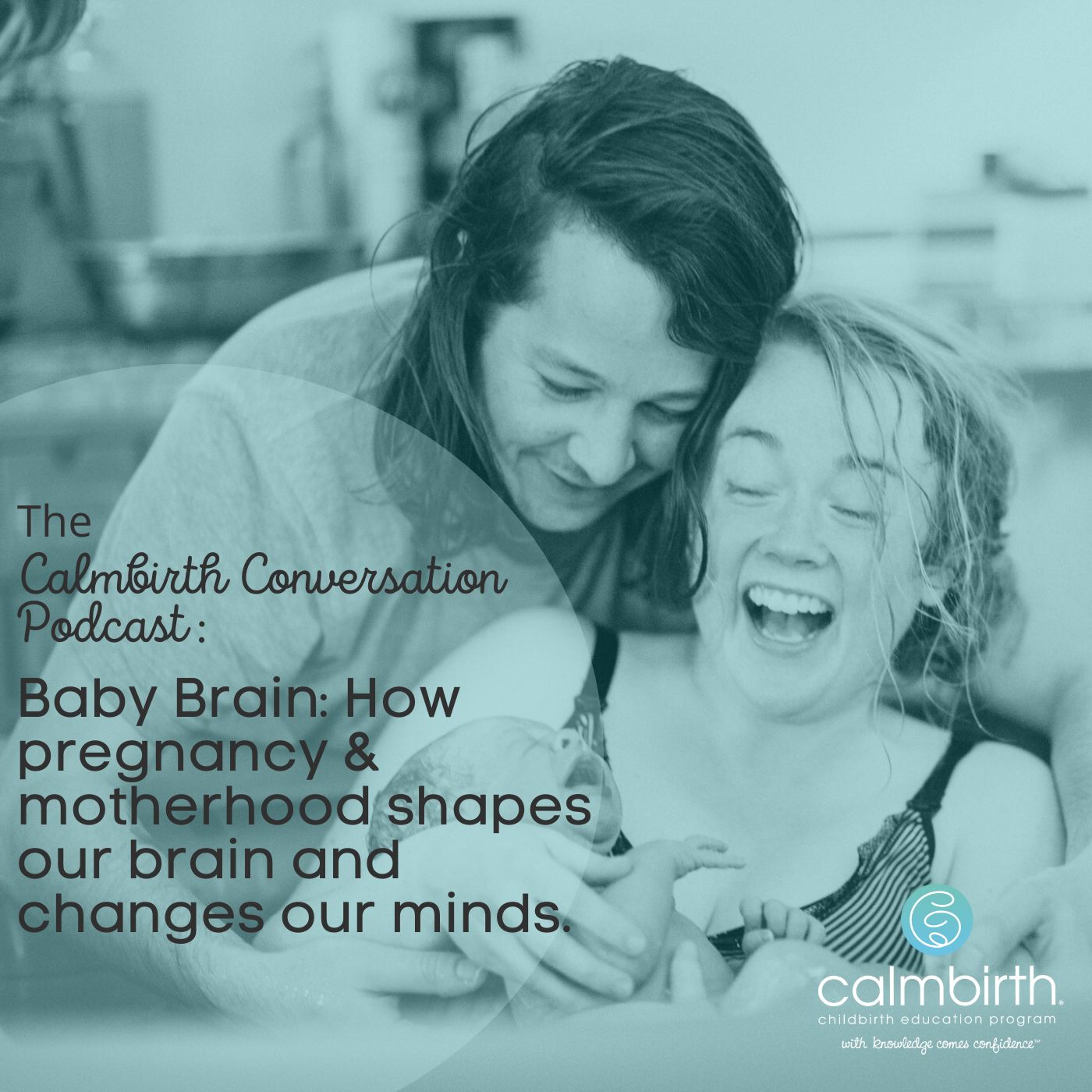 #20 Baby Brain: How pregnancy and motherhood shape our brain and change ...